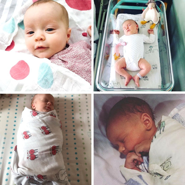 Isla and Wilbur wonderfully soft moments | tag #islaandwilbur on social media