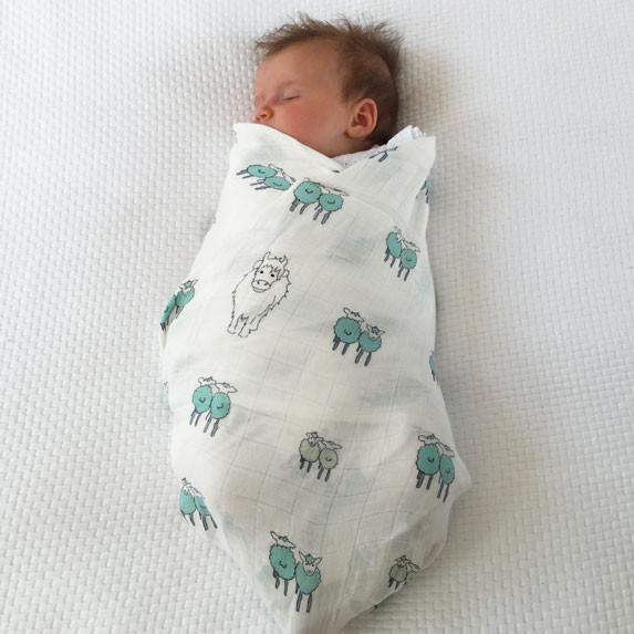 Green Twin Lambs Bamboo Swaddle - Isla & Wilbur